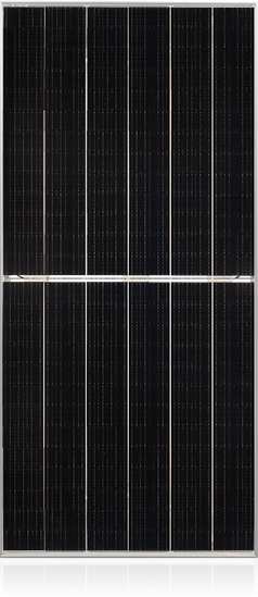 AG真人平台(中国)官方网站