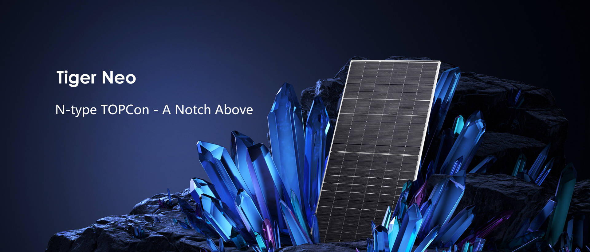 AG真人平台(中国)官方网站